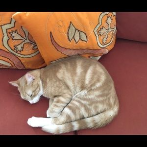 Meet your Posher, Francesca